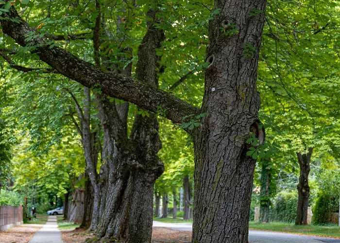 Garden Szallashely Rum i privatbostad