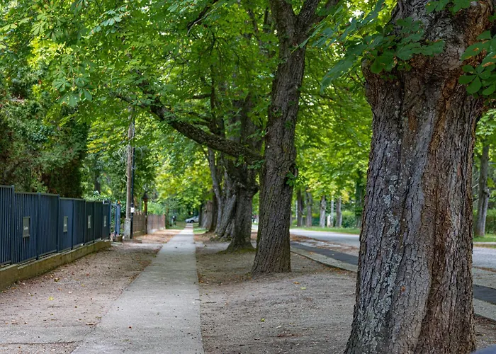 Garden Szallashely * Balatonszárszó